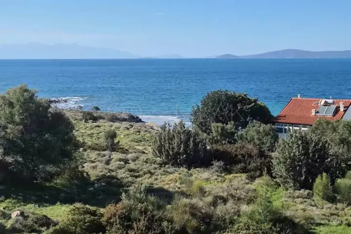 Çeşme Şifne Denize 50 m Satılık 3 Parsel